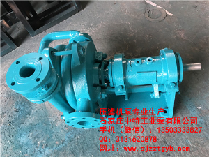 65ZJE-II耐磨壓濾機入料泵